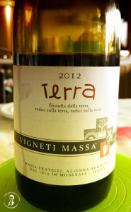 vino rosso terra